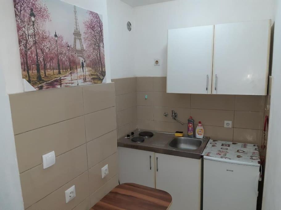 Apartman Paris Apartment Подгорица Екстериор снимка